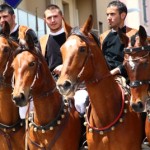 Cavalcata Sarda, Sassari - Sardegna