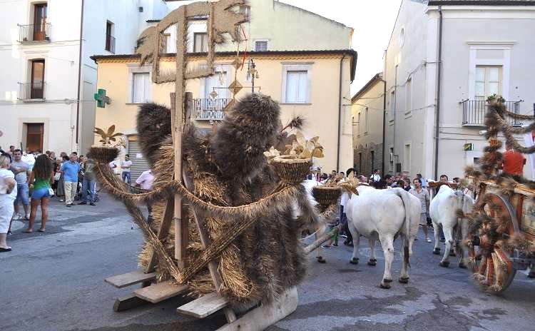 Feast of Wheat - Jelsi - Molise - Italy