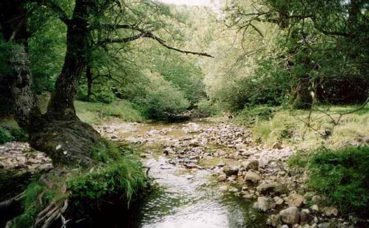 Abruzzo - National Park