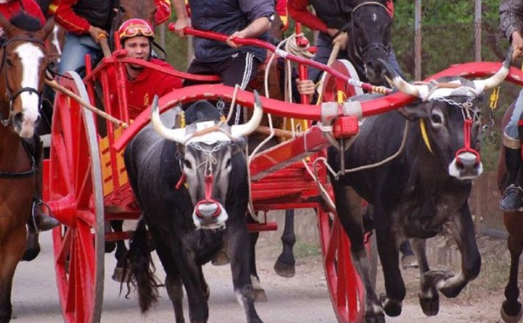 Carrese race in Ururi - Molise