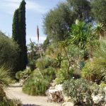 Liguria - Giardini Botanici Hanbury