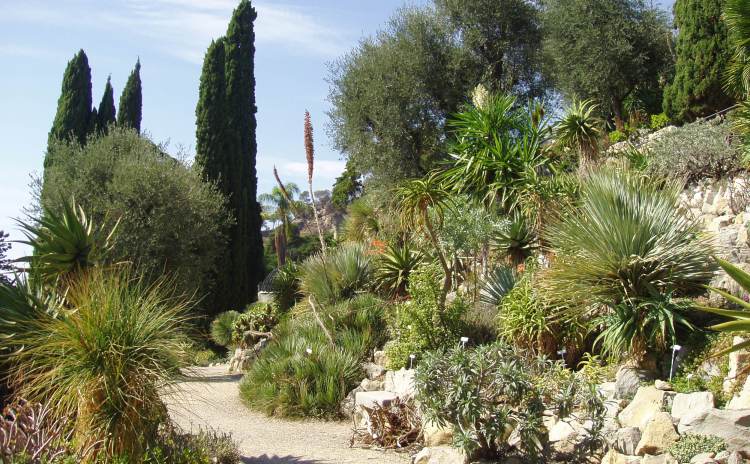 Liguria - Hanbury Garden