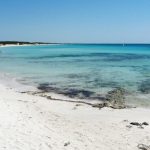 Lazio - Spiaggia di Punta Prosciutto (Porto Cesareo)