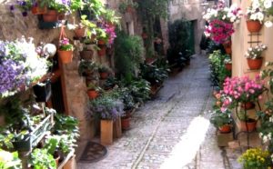 Balconi fioriti. Spello - Umbria