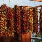 Festival Peperoncino