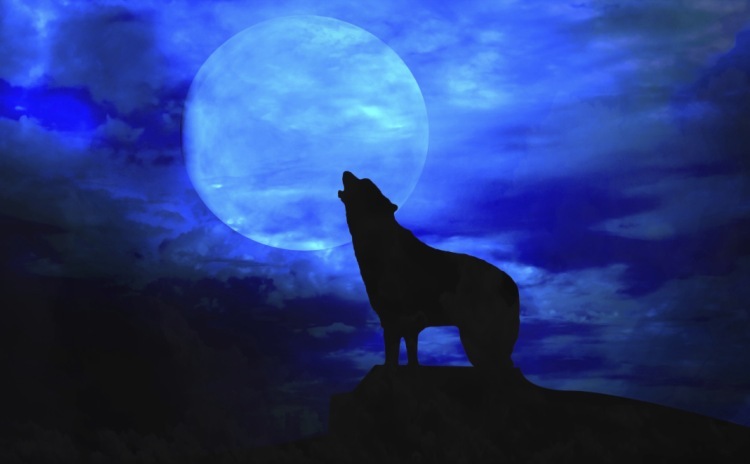 Una Notte da Lupi - Abruzzo