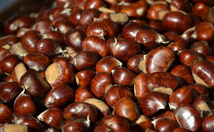 Divin Castagne - Sant'Antonio Abate