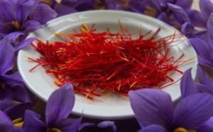 Mostra Mercato Zafferano - Umbria