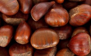 Sagra della Castagna - Serra Pedace