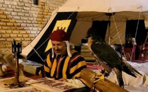 Falconeria - Melfi