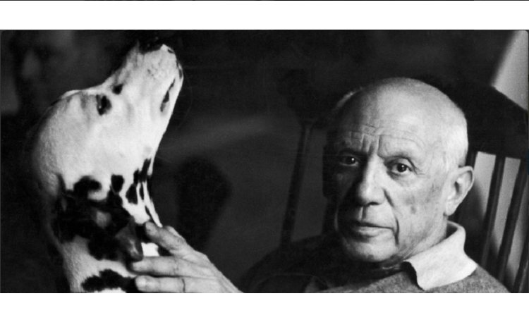 Picasso image - Rome