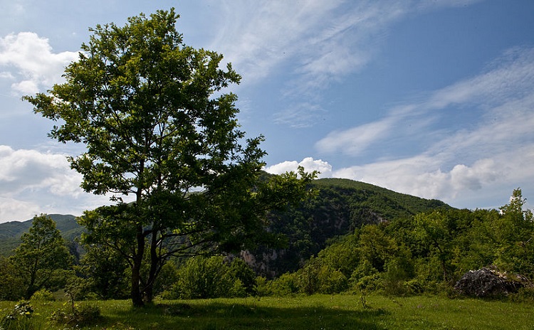 Guardiaregia-Campochiaro WWF Nature Reserve