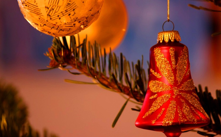 Magical Christmas Land