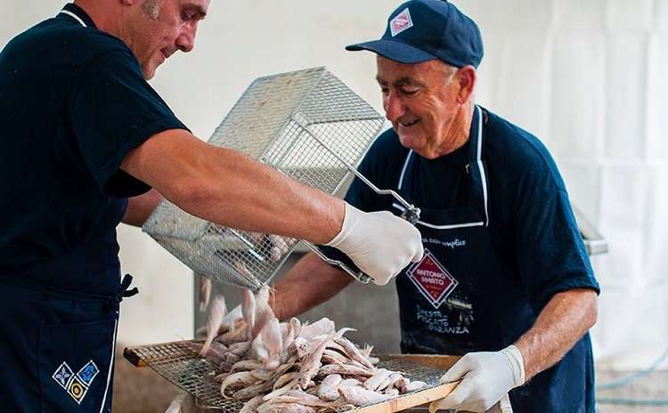 Festa del pescato di paranza - Castellabate - Campania