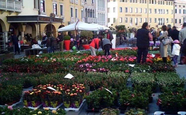 Fiera primaverile degli Uccelli - Sacile (Friuli)