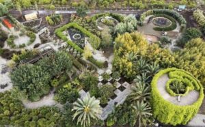 Radice Pura - Giarre - Sicilia