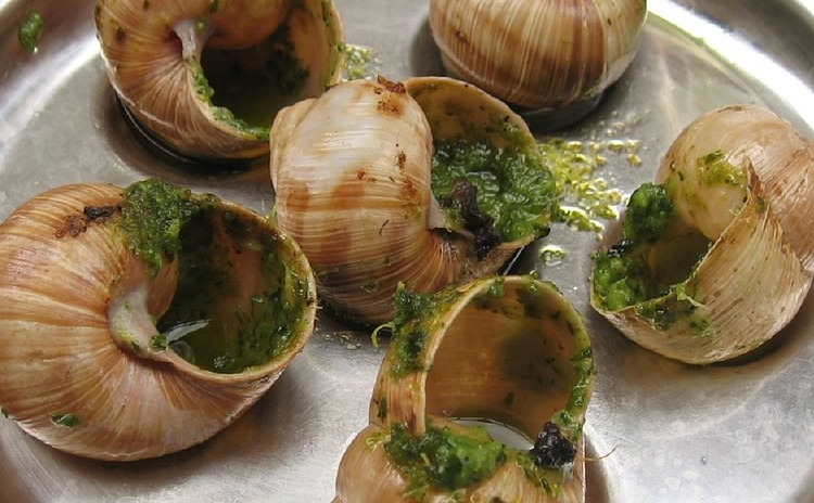 Sagra della Lumaca - Lacugnano
