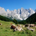 Desmontegar - Primiero Trentino
