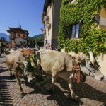 Desmontegar - Primiero Trentino
