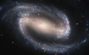 FestivalScienza - Cagliari