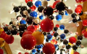 FestivalScienza - Cagliari