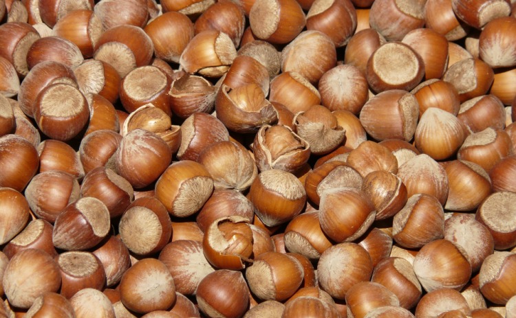 Chestnut and Hazelnut Festival - Avella