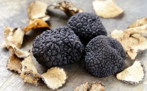 Valtopina Truffle Fair - Umbria