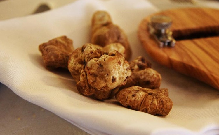 Valtopina Truffle Fair - Umbria