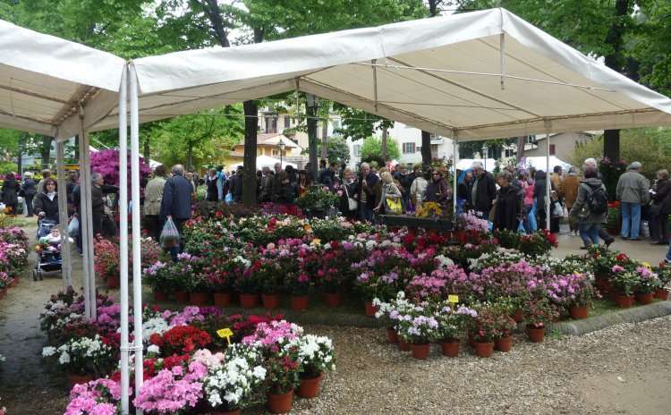 Mostra mercato primaverile di piante e fiori - Firenze