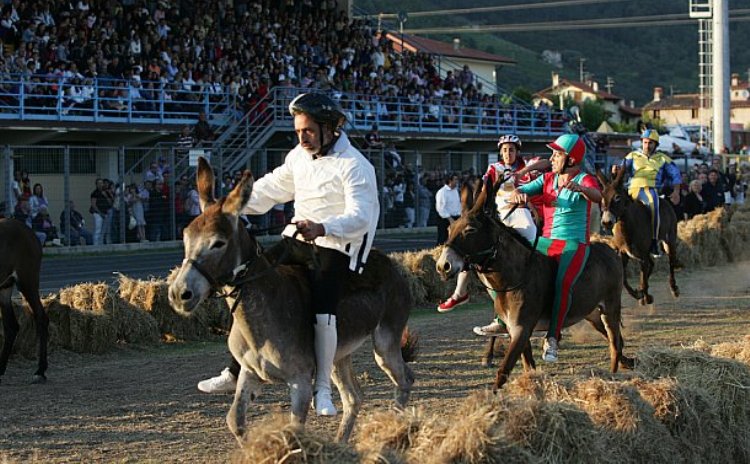 Palio dei Micci - Querceta