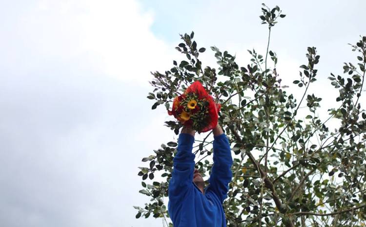 Festa del Maggio di Accettura