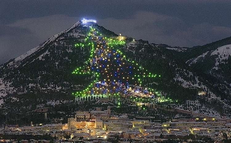 the largest Christmas tree in the world Italy