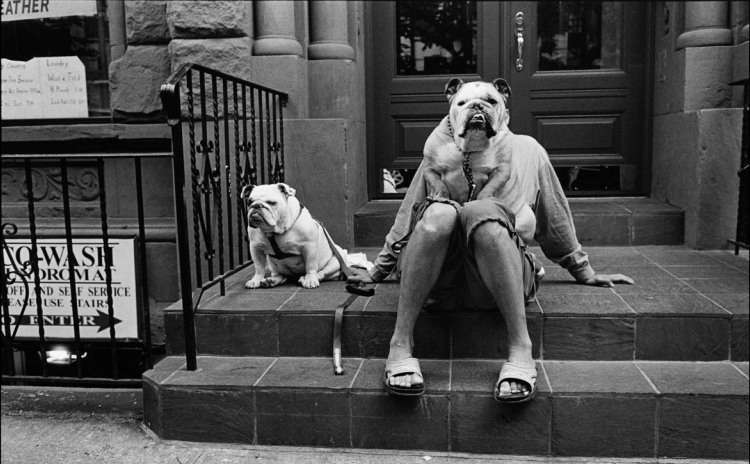 Elliot Erwitt - Treviso