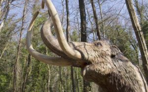 Dinosauri in Carne e Ossa - Fiumicino, Lazio