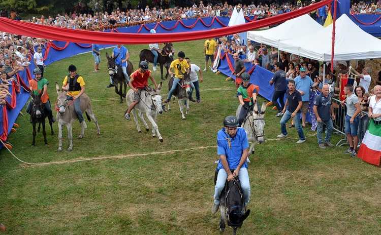 Grape Festival Borgomanero Piedmont Italy