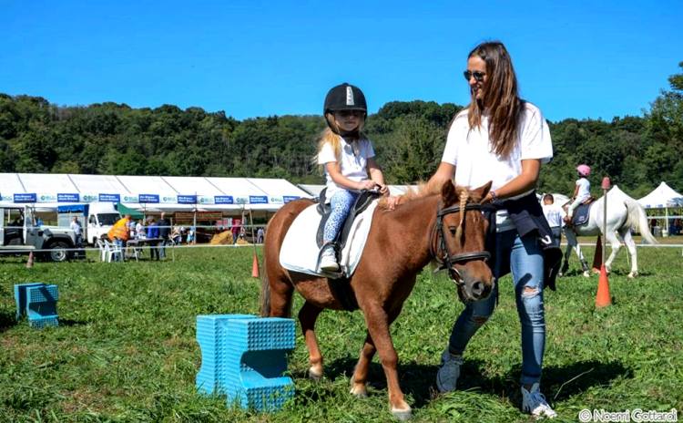 Fiera Secolare della Madonna di Rogoredo Alzate Brianza Lombardia