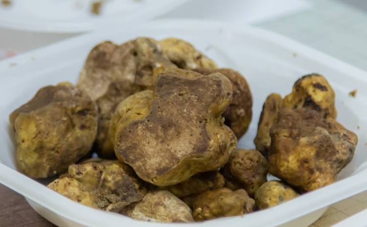 Tuberfood Lombardia