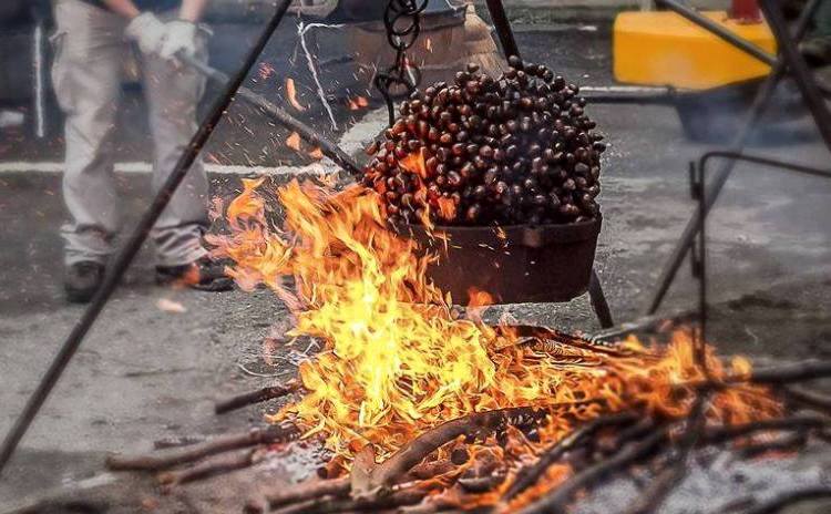 Chestnut Feast - Emilia Romagna - Italy