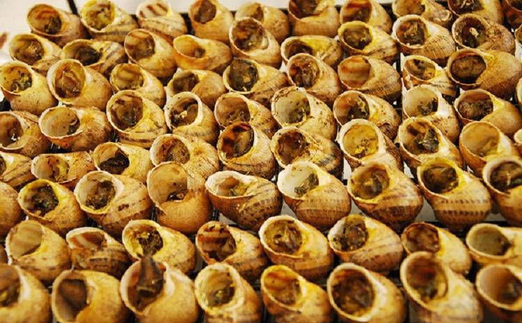 Sagra della Lumaca - Cantalupo di Bevagna