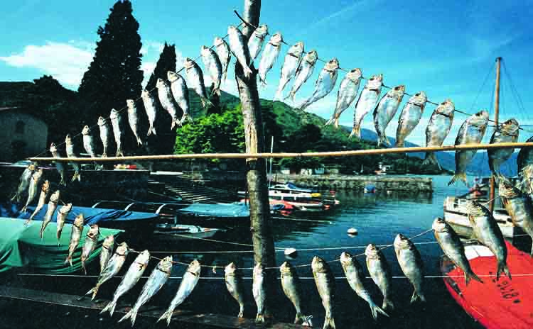 Slow food presidia Lombardia