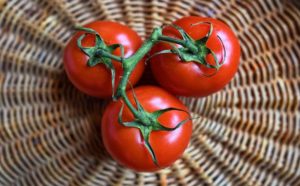 tomatoes Calabria