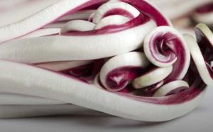 Radicchio rosso tardivo