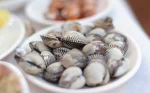 tellina Lazio
