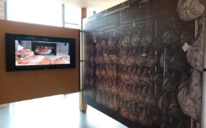 Parma Ham Museum - Emilia Romagna - Italy