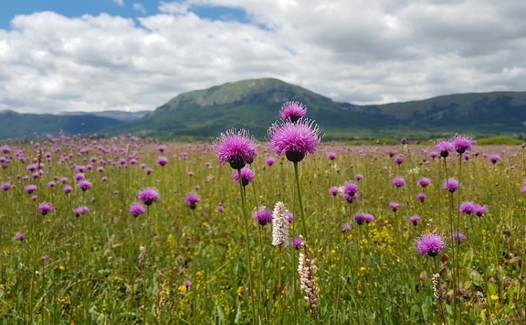 Sirente-Velino Regional Natural Park - Abruzzo - Italy