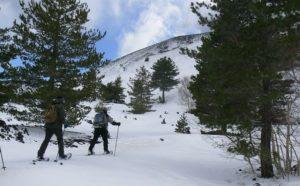 Parco dell'Etna - Sicilia