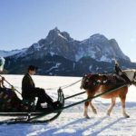 Trentino Matrimonio Contadino - gennaio