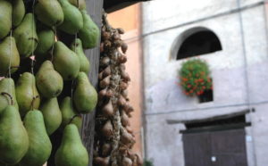 European Wild Pear and Seasoned Cheese Fair - Emilia Romagna - Italy