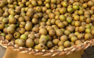 European Wild Pear and Seasoned Cheese Fair - Emilia Romagna - Italy