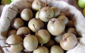 Sagra della Pera Volpina e del Formaggio Stagionato - Emilia Romagna